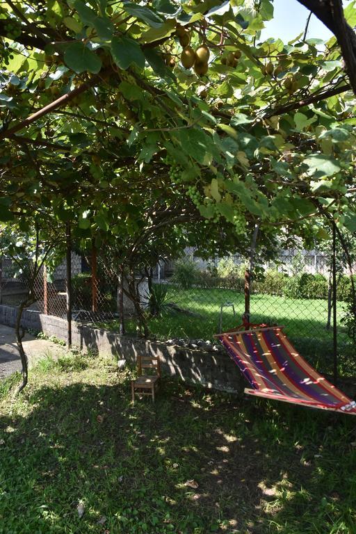 Shorena'S House Zugdidi ภายนอก รูปภาพ
